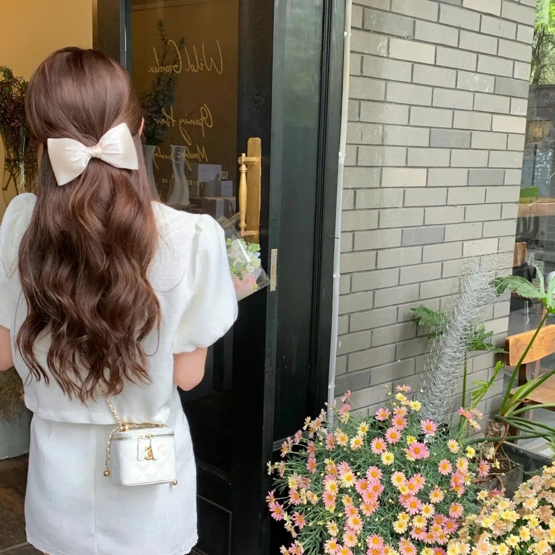 苍蝇